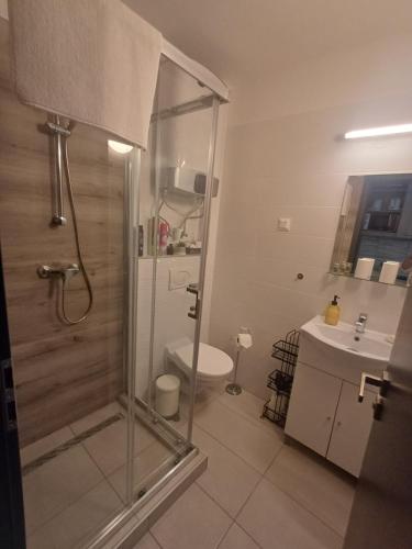 a bathroom with a shower and a toilet and a sink at Harmónia Apartman Balatonföldvár in Balatonföldvár