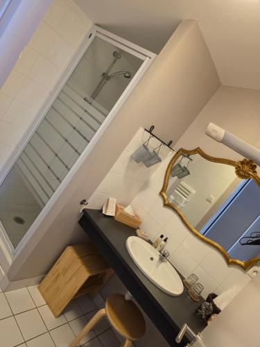 a bathroom with a sink and a mirror at Hôtel Restaurant L'Arbre à Pain in Altier
