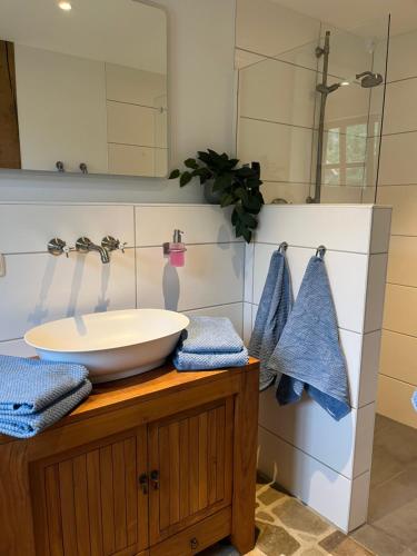 a bathroom with a sink and a mirror on a counter at Speicher in Soltau in Soltau