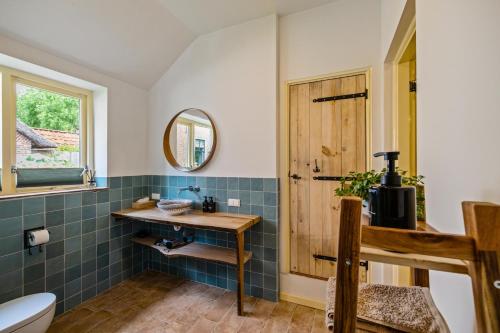 a bathroom with a sink and a toilet and a mirror at Het Schultehuis in Anloo
