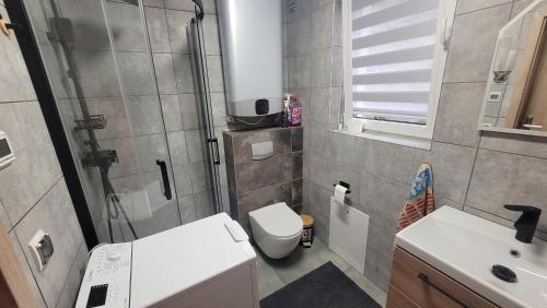 a small bathroom with a toilet and a sink at Niebo do wynajęcia in Kłodzko