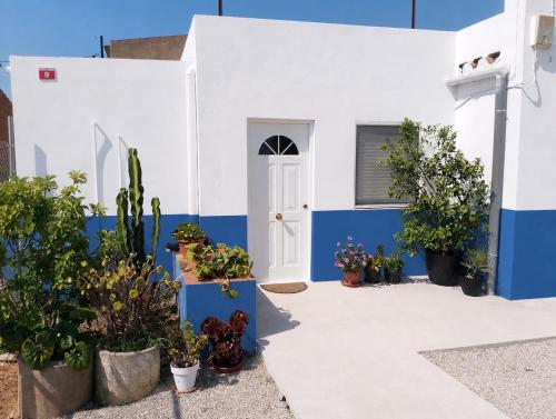 a white and blue building with potted plants at Casa Carme in Camarles