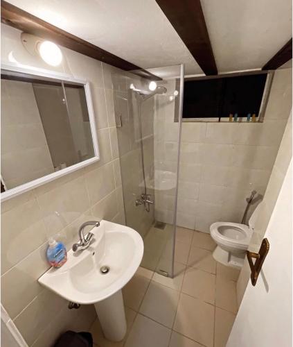 ein Badezimmer mit Waschbecken und Toilette in der Unterkunft Arida farm in Bischarri