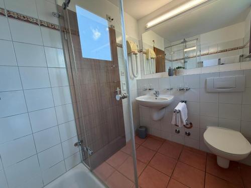 a bathroom with a shower and a toilet and a sink at Lakeside No 9 in Hagnau