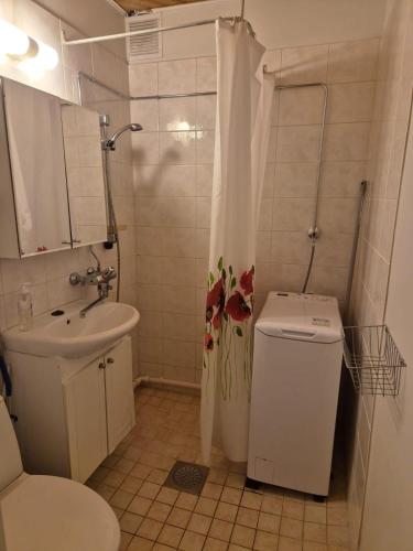 a bathroom with a toilet and a shower and a sink at Hamina Comfort Apartment in Hamina