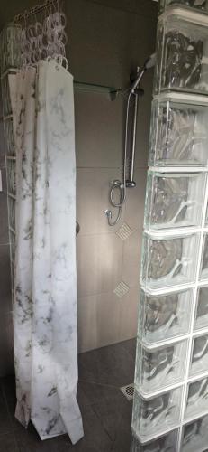 a shower with a white marble shower curtain in a bathroom at Point Wells Village Bach in Omaha