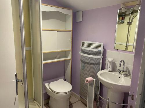 a small bathroom with a toilet and a sink at Meublé lilas in Réaumur