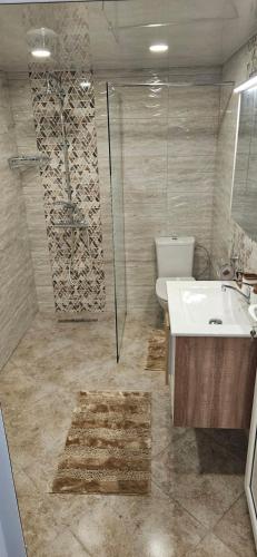 a bathroom with a shower and a sink and a toilet at Студио МИНЕРА in Kyustendil