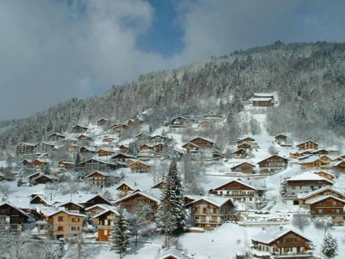Lovely Apt Sleeps 5 Easy Access to Morzine