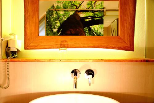 a mirror above a bathroom sink with a person taking a picture at Flair Hotel Nieder in Bestwig