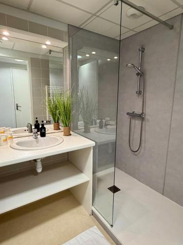 a bathroom with a glass shower and a sink at Chalet Ma Neou Village Vacances in Les Angles