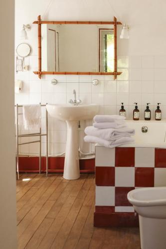 a bathroom with a sink and a mirror at Chateau de Saint Martin in Taradeau