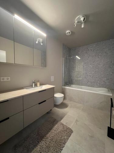a bathroom with a sink and a toilet and a shower at Mistar Home in Gardur