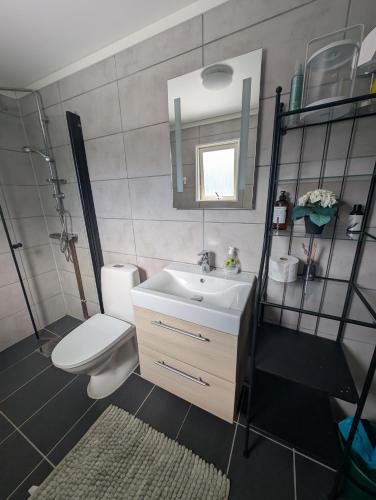a bathroom with a sink and a toilet and a mirror at Hindås stuga in Hindås