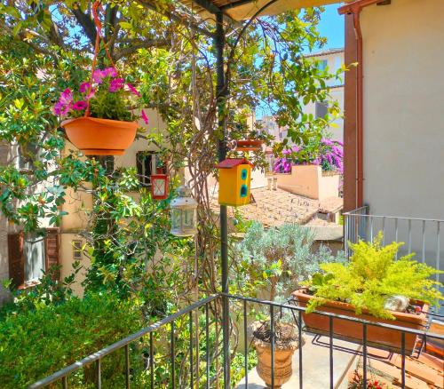 Casa Frida - A lovely view on ancient court