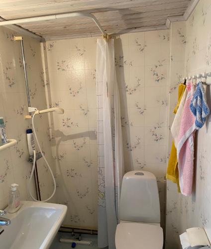 a bathroom with a toilet and a shower and a sink at Sjöberg's Cosy Cottage in Ljungby