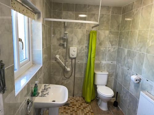 a bathroom with a shower and a toilet and a sink at Blackthorn Meadow in Pontypool