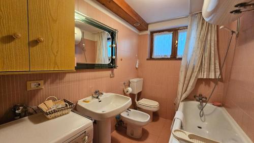 a small bathroom with a sink and a toilet at Belvedere Pecol in Mareson