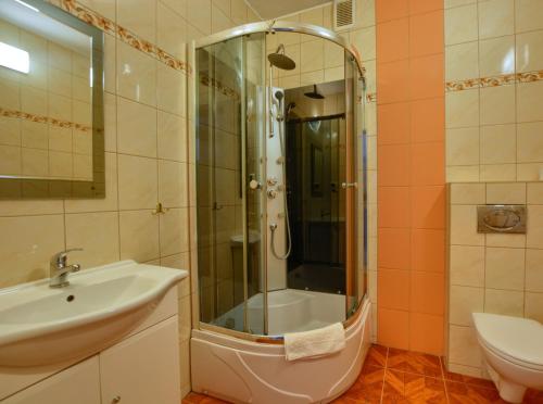 a bathroom with a shower and a sink and a toilet at Centrum Noclegi in Krynica Zdrój