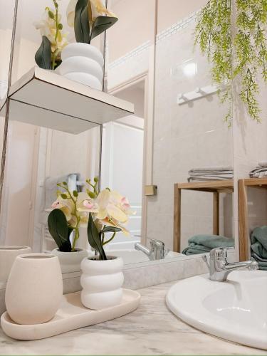 Cozy apartment, gym, heart of Cité