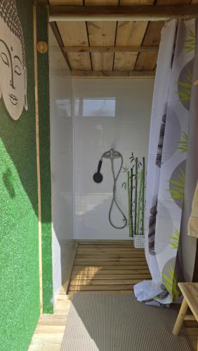 a shower in a room with a green wall at Un aparté bohême "La Roubane" in Puyravault
