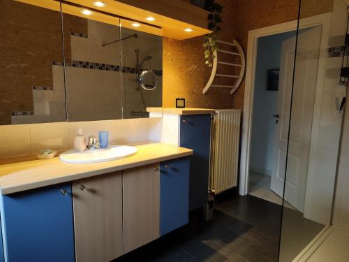 a bathroom with a sink and a mirror at Maison Belle Vue Ronse in Ronse