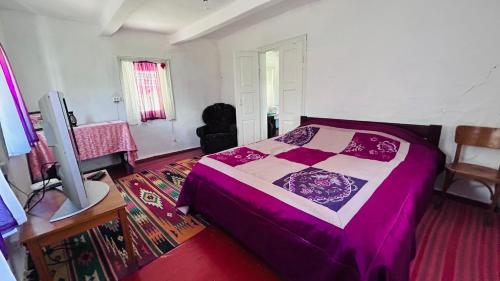 a bedroom with a bed and a television in it at У Катерини in Dvozhets