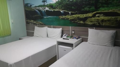 Foto de la galería de Forest Hotel en Porto Velho