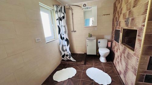 a bathroom with a toilet and a shower with a window at У Катерини in Dvozhets