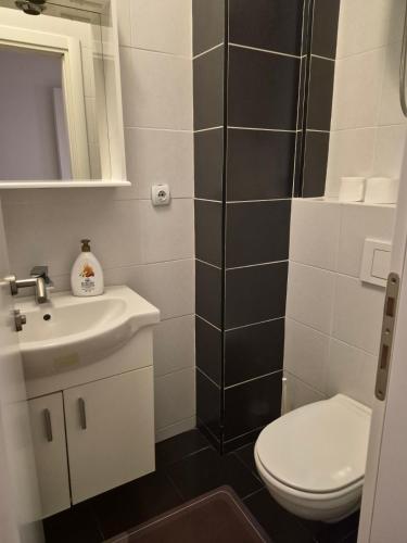 a bathroom with a toilet and a sink at M&M Apartman 2 in Rafailovici
