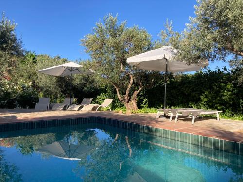 a swimming pool with a picnic table and an umbrella at Cabaña La Pura Vida Yunquera in Yunquera
