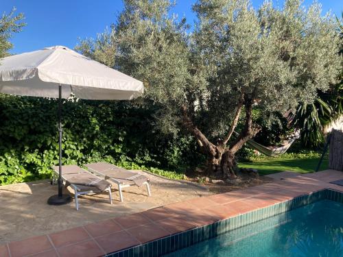an umbrella and two chairs next to a swimming pool at Cabaña La Pura Vida Yunquera in Yunquera