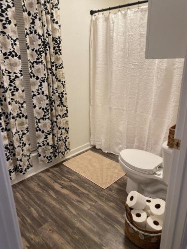 a bathroom with a toilet and a shower curtain at Lucky 13 Condo in Starkville