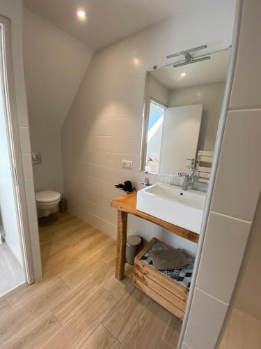 a bathroom with a sink and a mirror at Chez Mary Elise in Le Claux