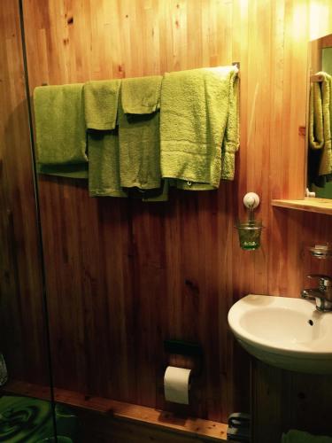 ein Badezimmer mit Holzwänden und einem Waschbecken und Handtüchern in der Unterkunft Tiny farm studio in Maggia