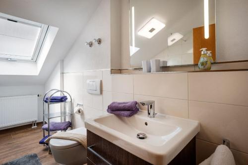 a bathroom with a sink and a toilet and a mirror at Wellness Ferienwohnung mit Hallenbad und Sauna in Oberaudorf