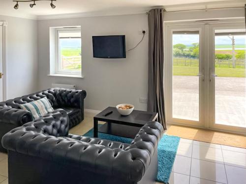 a living room with two leather couches and a television at Ivy No1 - Uk49251 in Althorne