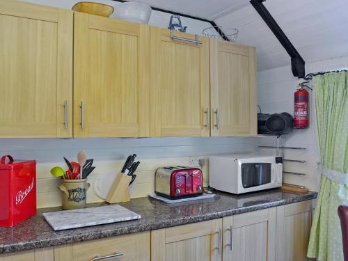 a kitchen counter with a toaster and a microwave at Kilcummer Stables in Tintagel