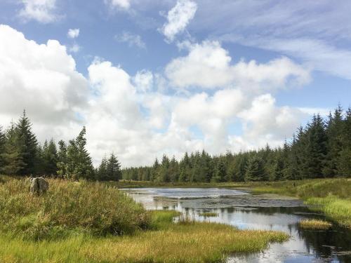 a river in a field with grass and trees at Pinclanty Cottage in Pinmore