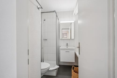 Premium studio in city center - Color 3