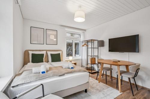 Premium studio in city center - Color 3