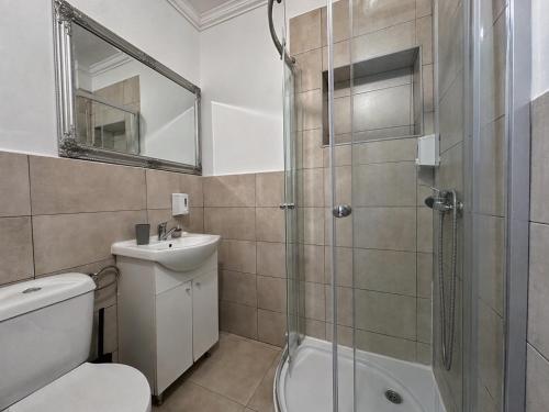 a bathroom with a shower and a toilet and a sink at Silver Residence Brașov in Braşov