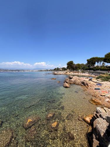 Le Pavillon du Cap d'Antibes photo 12
