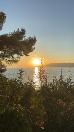 Le Pavillon du Cap d'Antibes photo 27