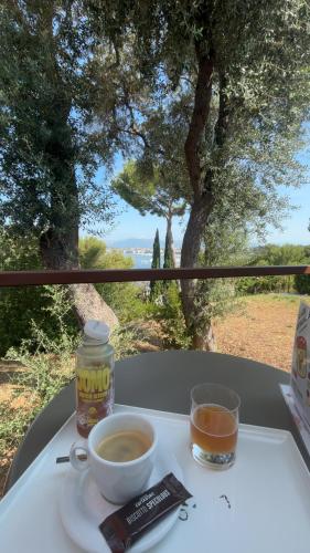 Le Pavillon du Cap d'Antibes photo 35