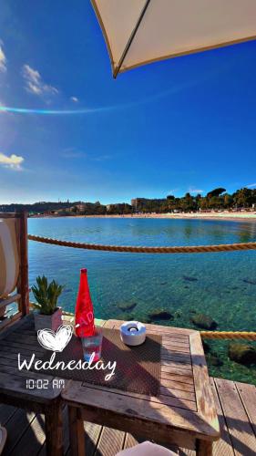 Le Pavillon du Cap d'Antibes photo 34