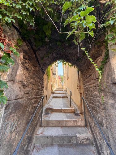 Le Pavillon du Cap d'Antibes photo 42