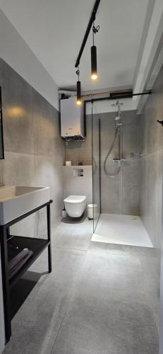 a bathroom with a shower and a toilet and a sink at Villa nad stawem in Pszczew