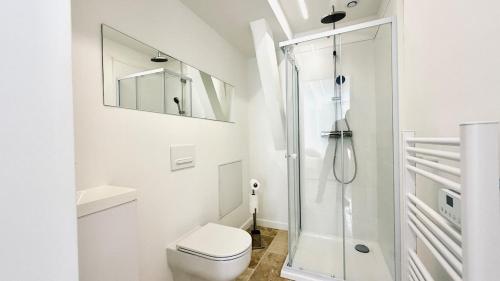 a white bathroom with a shower and a toilet at Studio Premium Climatisé in Avallon
