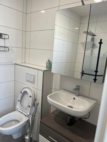 ein weißes Badezimmer mit Toilette und Waschbecken in der Unterkunft Wilhelmsthal in Wilhelmsthal